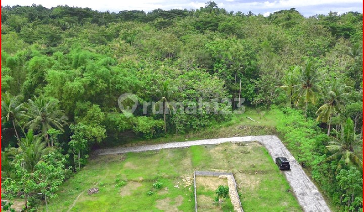 Near Yogyakarta International Airport (YIA), Land for Sale and Purchase in Giripeni, Wates, Jogja.
