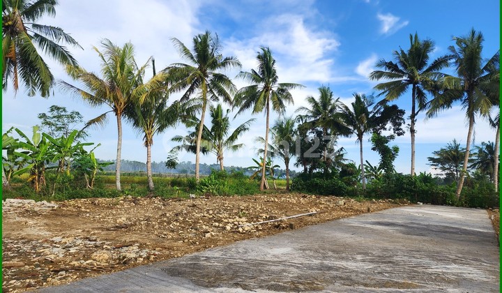 Pengasih Kulon Progo, Tanah  Dekat Bandara YIA Sertifikat SHM
