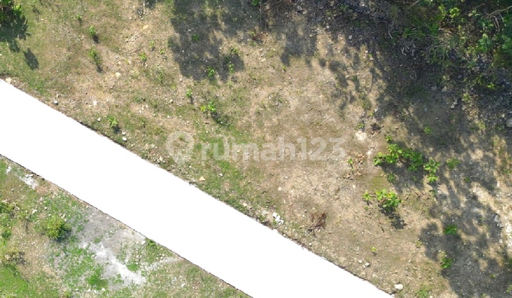 Rumah Murah Jogja Dekat Polres Kulon Progo Lokasi Panjatan Rumah Murah Jogja Dekat Polres Kulon Progo Lokasi Panjatan