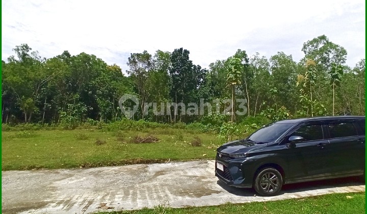 Jl. Nagung-Brosot Kulon Progo, Tanah Dekat Bandara YIA Untuk Hunian Jl. Nagung-Brosot Kulon Progo, Tanah Dekat Bandara YIA Untuk Hunian