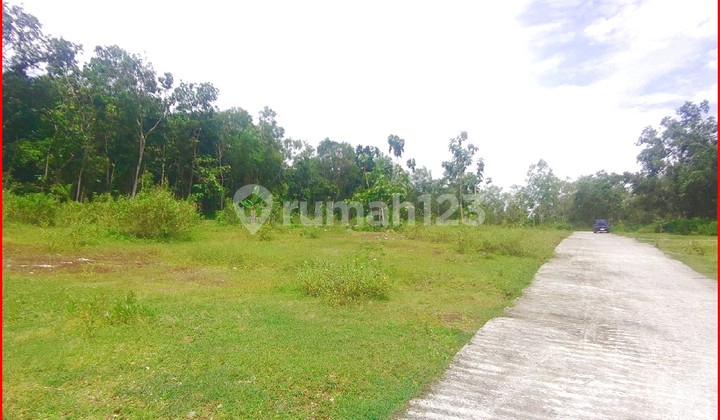 Gotakan Street, Kulon Progo, Yogyakarta Land Near YIA Airport