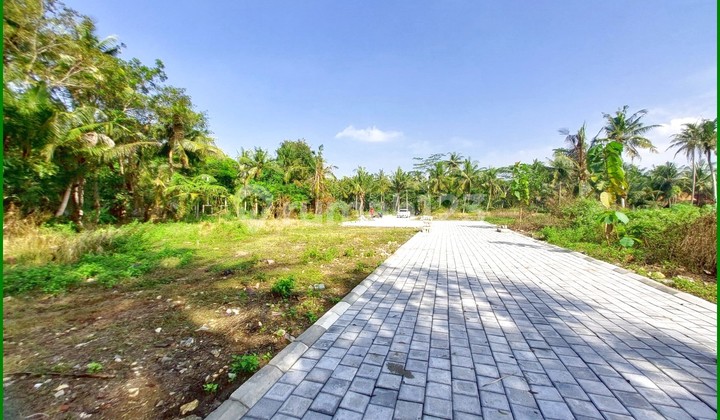 7 Menit Bandara YIA, Tanah Jogja Murah Cocok Untuk Rumah