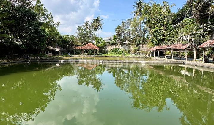 VILLA AND POOL IN THE CITY CENTER VILLA AND POOL IN THE CITY CENTER