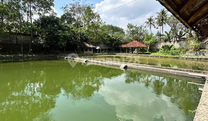 VILLA AND POOL IN THE CITY CENTER VILLA AND POOL IN THE CITY CENTER