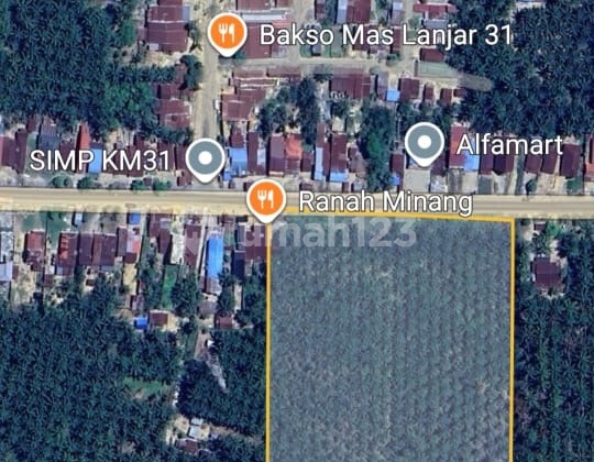 Jual Cepat Lahan Sawit di Bagan Sinembah Riau Pinggir Jalan Utama