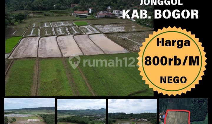 Tanah Persawahan Luas Pemandangan Gunung di Jonggol Belakang Citra Indah City