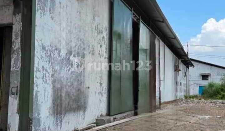 For Sale: Warehouse with Hook, Tambak Sawah Area, Renovated, Ready to Use, Surabaya.