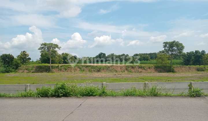Murah !! Jual Tanah Main Road Dawarblandong Dekat Tol Krian Lamongan