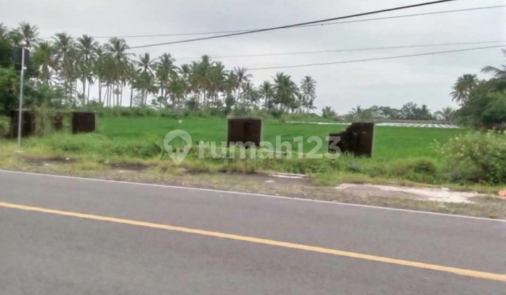 Tanah 1,5 Ha Pinggir Jalan Raya Panimbang Dekat Tol SHM Murah Tanah 1,5 Ha Pinggir Jalan Raya Panimbang Dekat Tol SHM Murah