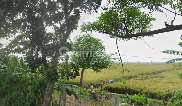 Tanah Luas 1,2 Hektar di Karawang - Harga Miring!