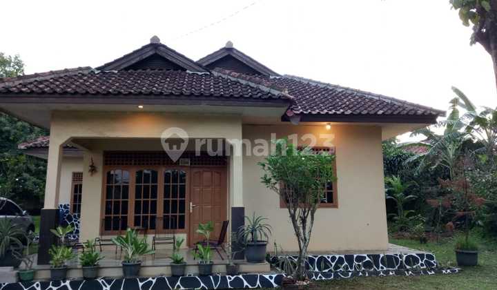 Dijual rumah terawat cocok untuk hunian di daerah Bogor Dijual rumah terawat cocok untuk hunian di daerah Bogor