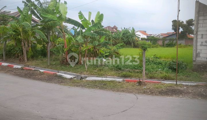 Tanah Darat Wilayah Mejasem Pala Barat 2