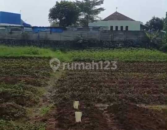 Tanah Kosong Jual Cepat Lokasi di Balaraja, Tangerang