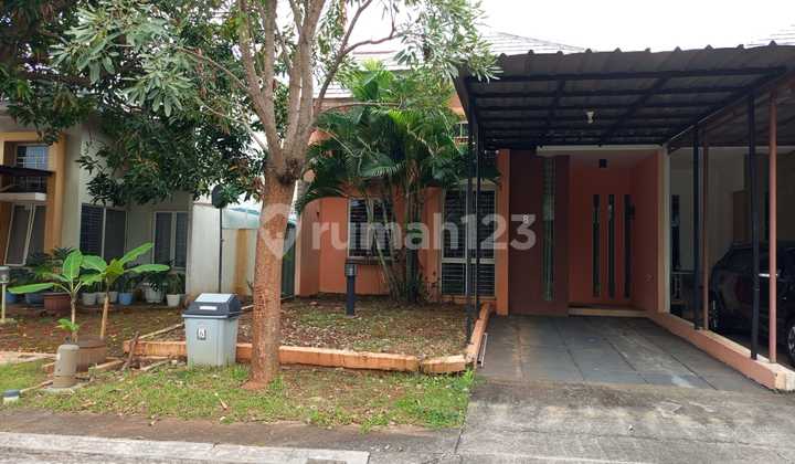 Rumah Bagus Murah Siap Huni Di Cluster Ivory Lippo Cikarang