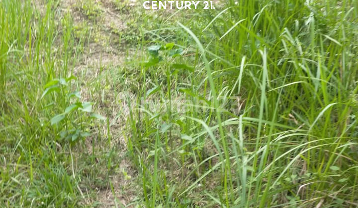 Tanah Kavling Komersial SHM Di Megaregency Cikarang