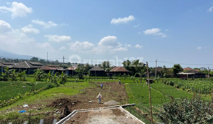 Villa Mewah Kota Batu Selangkah Alun-Alun Kota Batu Villa Mewah Kota Batu Selangkah Alun-Alun Kota Batu