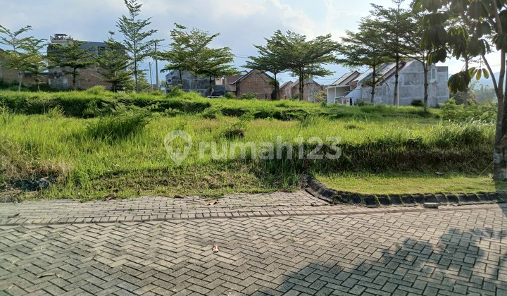 Tanah Kavling Selangkah UIN 3 Malang - Lingkungan Perumahan Tanah Kavling Selangkah UIN 3 Malang - Lingkungan Perumahan