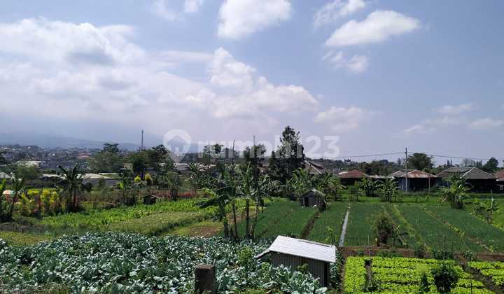 Villa Inden Bangun Metro - 5 Minutes to Batu City Square