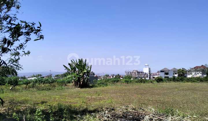 Cluster Rukost Premium Joyoagung - Siap Cuan Sewa!