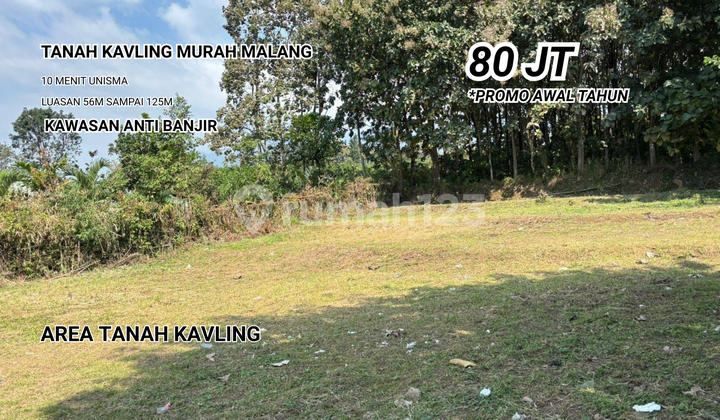 Dijual Cepat Tanah Wagir Malang View Pegunungan