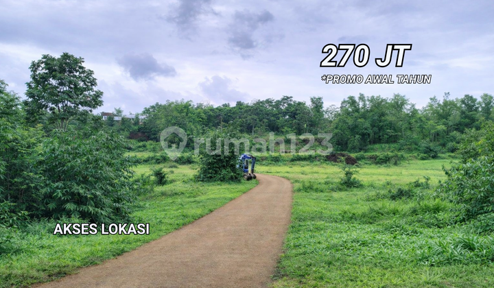 1-Storey House, Safe Legality, Flood-Free 2