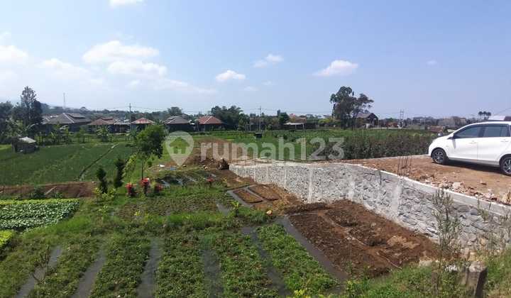 For Sale: Pre-sale Villa, 10 Minutes to Transport Museum, 3 Bedrooms