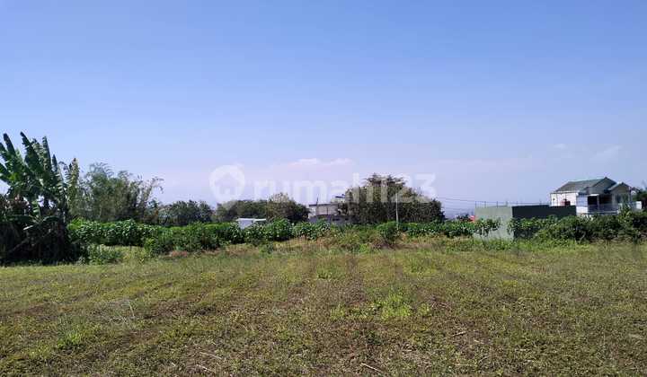 10 Menit Kampus UB Di Jual Rukost Inden Bangun Free Furnish 10 Menit Kampus UB Di Jual Rukost Inden Bangun Free Furnish