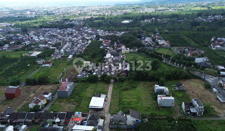 Selling Dorm Passive Income Hundreds of Millions Per Year 5 Minutes to Ub Malang Campus Row Street 6 Meters 2