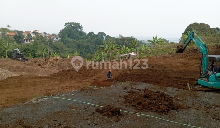 Prime Offer! SHM Plots in the Third Area