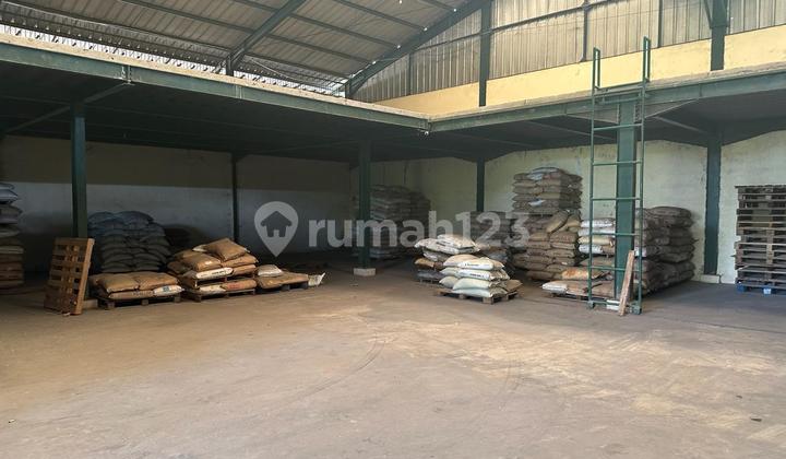 Disewakan Gudang Di Tanjung Pasir 