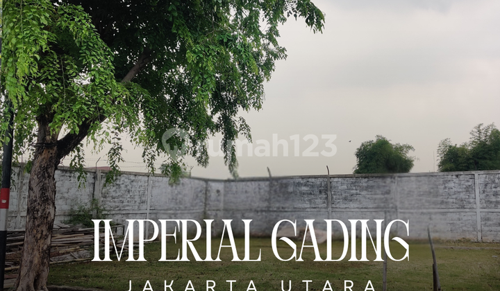 KESEMPATAN EMAS! KESEMPATAN EMAS!