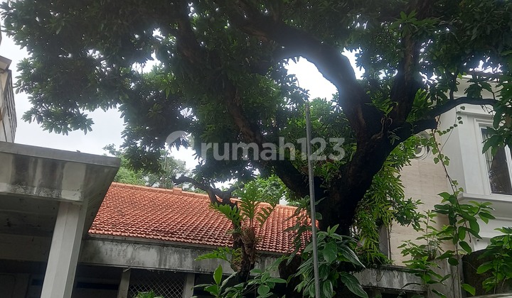 Rumah Tua Hitung Tanah Dekat Kantor Walikota Jaksel