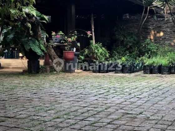 Rumah Antik Tanah Luas Diciputat Rumah Antik Tanah Luas Diciputat
