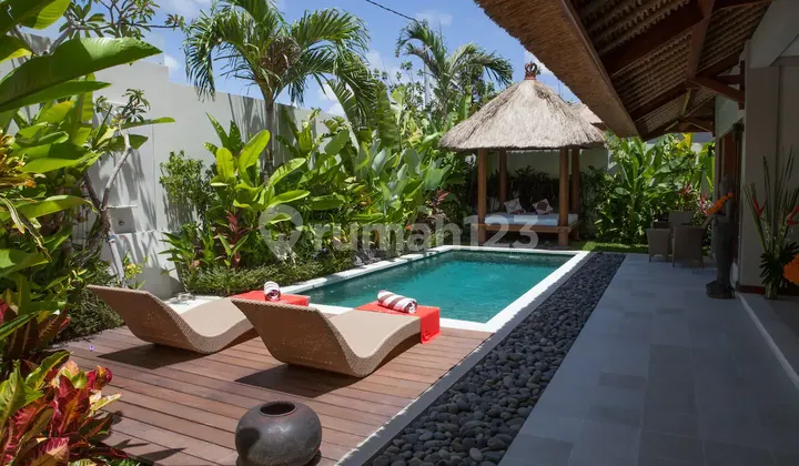 Lokasi Tenang & Jauh Dari Keramaian, Villa, Desain Minimalis