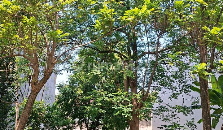 Dijual Turun Harga Kavling Trimaran Permai Pik Tanah di Pantai Indah Kapuk