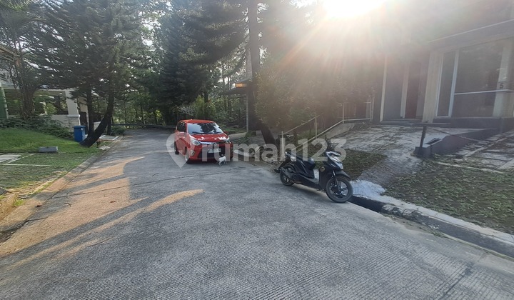 Rumah Sejuk Dikelilingi.hutan Pinus