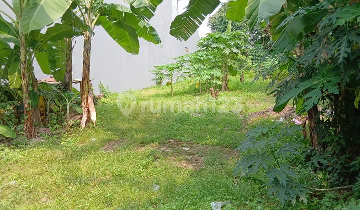 Huge Profit Potential,, 1598M2 Freehold Land in Duren Sawit