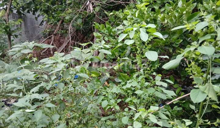 Lahan 216M Akses 2 Mobil Bebas Banjir Pondok Kelapa Lahan 216M Akses 2 Mobil Bebas Banjir Pondok Kelapa