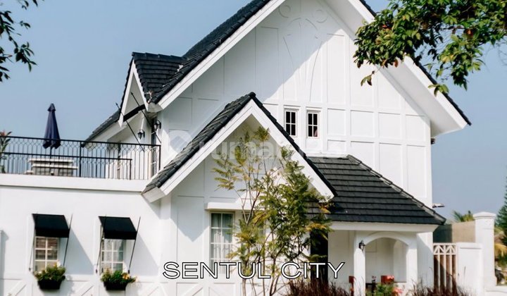 Rumah Cantik Semi-Furnished Plus Backyard di Sentul City - SHM