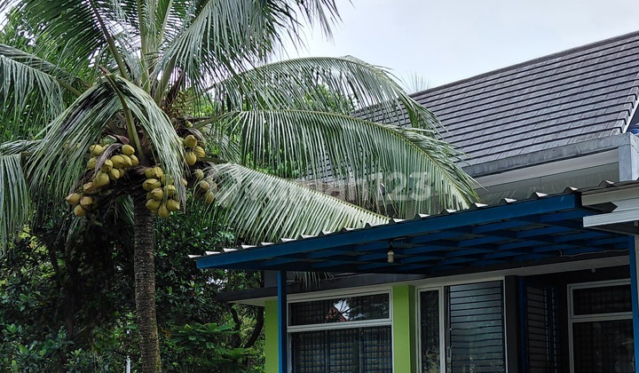 Ready-to-Rent House in Hook. Strategic Location in Sentul City. Bogor