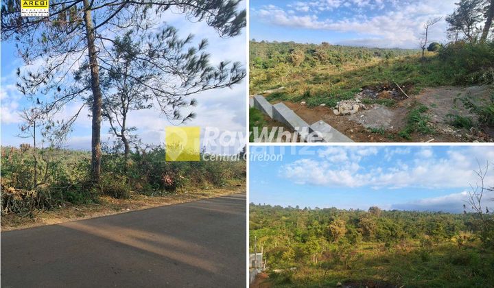 Dijual Tanah Komersil Cocok Untuk Resort, Cafe & Tempat Wisata Di Lemahsugih, Majalengka Dijual Tanah Komersil Cocok Untuk Resort, Cafe & Tempat Wisata Di Lemahsugih, Majalengka