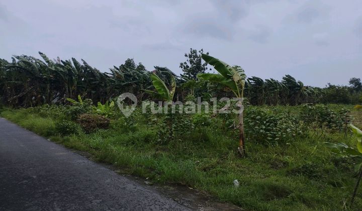 Tanah Cocok untuk Perumahan Dekat Colomadu