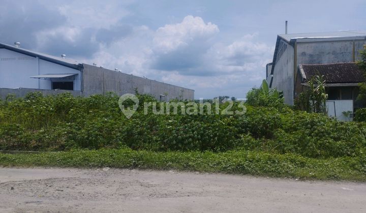 Cheap Land & South Red Zone, Solo Baru