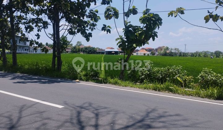 Affordable Suitable for Warehouse West of Karanganyar Toll Exit Central Java Affordable Suitable for Warehouse West of Karanganyar Toll Exit Central Java