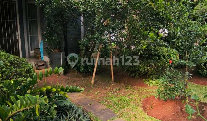 DIJUAL CEPAT  RUMAH DI SUTERA OLIVIA  ALAM SUTERA