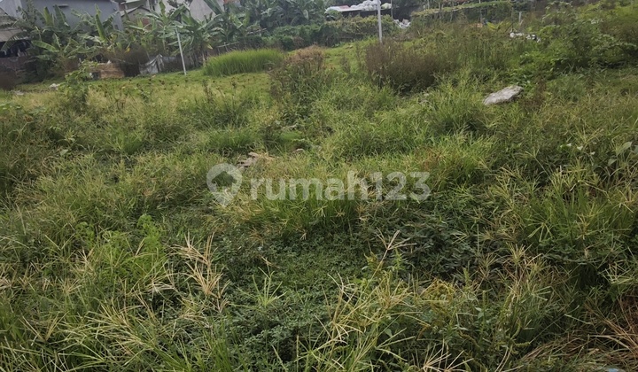 Tanah Super Strategis Di Jalan Peta Utara Kalideres Jakarta Barat Tanah Super Strategis Di Jalan Peta Utara Kalideres Jakarta Barat