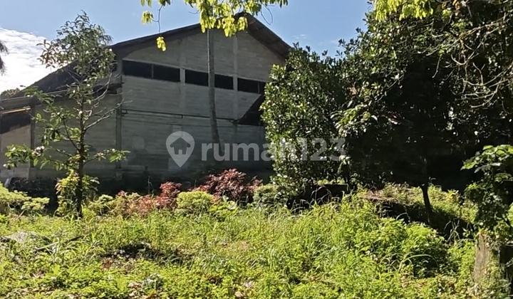 Tanah Gudang Jalan Raya Ciseeng Bogor Parung Tangerang
