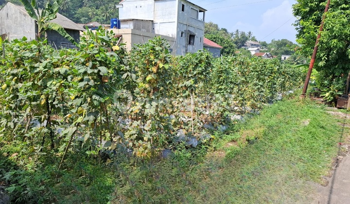Citepus Land Port Ratu Sukabumi West Java