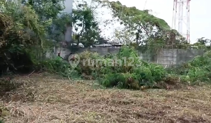 Sewa Tanah Utan Jati Kalideres