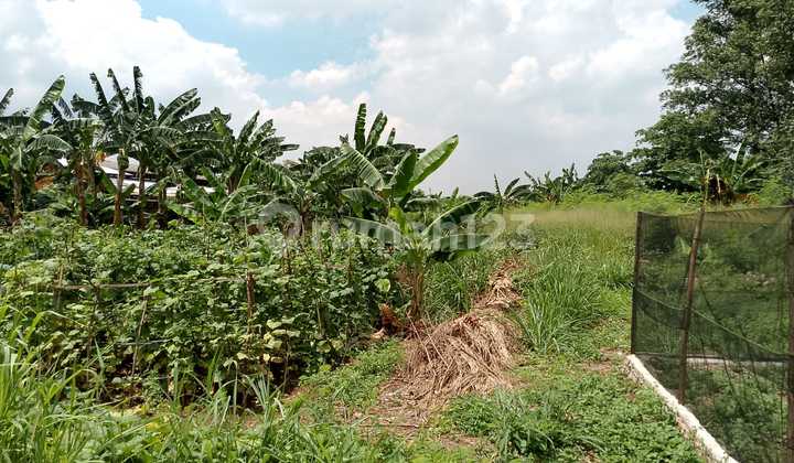 Tanah Strategis Semanan Raya Kalideres Jakarta Barat Tanah Strategis Semanan Raya Kalideres Jakarta Barat